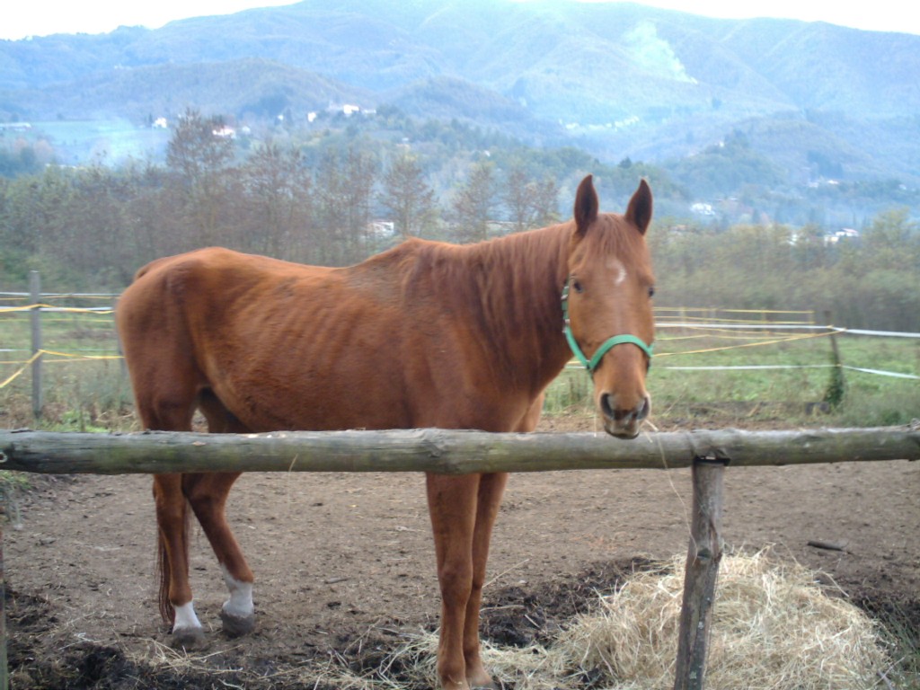 La Garfagnana